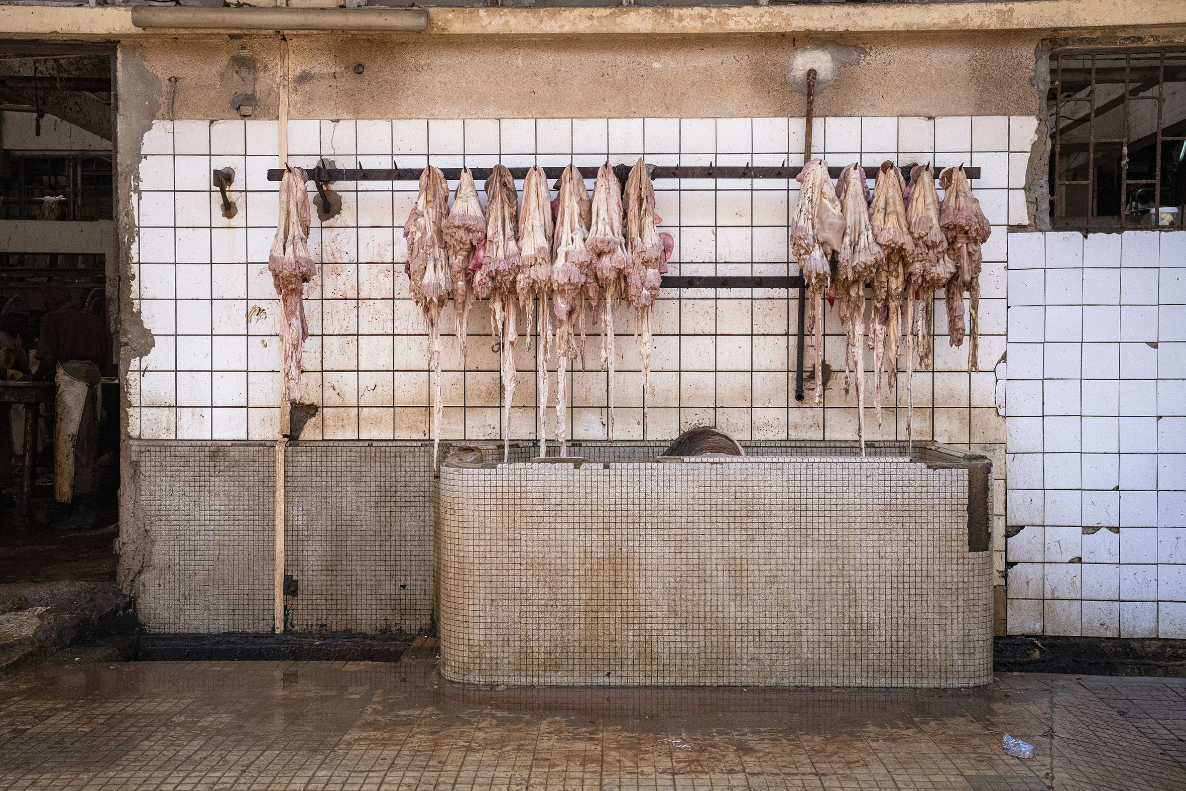 Mesa de tratamiento e inspección de vísceras en el matadero de Pikine. “Las 13 toneladas de residuos sólidos diarios que se pueden recuperar sumadas a una parte de los desechos líquidos convierten a este matadero en el lugar idóneo para una planta de biogás”, añade Lamine Ndiaye, ingeniero agrónomo y autor del estudio de viabilidad técnico-económico para la creación de una unidad de biogás industrial en la villa de Pikine. © Marta Moreiras